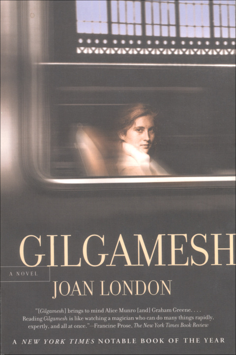 Cover image for book Gilgamesh