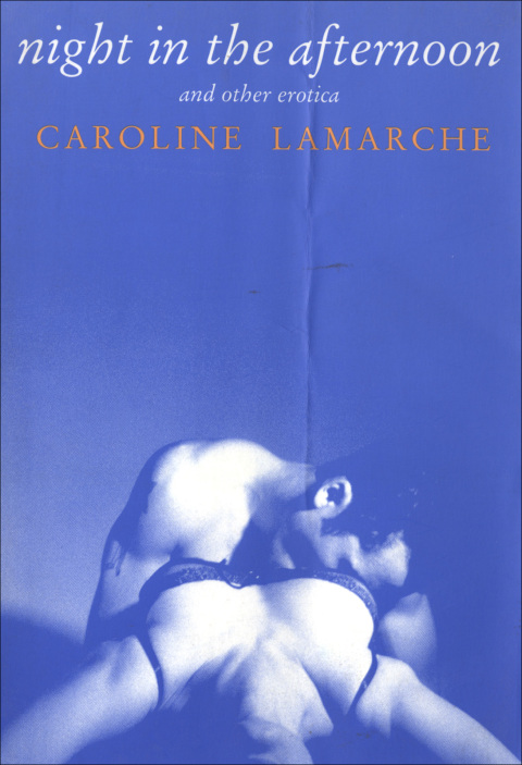 Cover image for book Night in the Afternoon