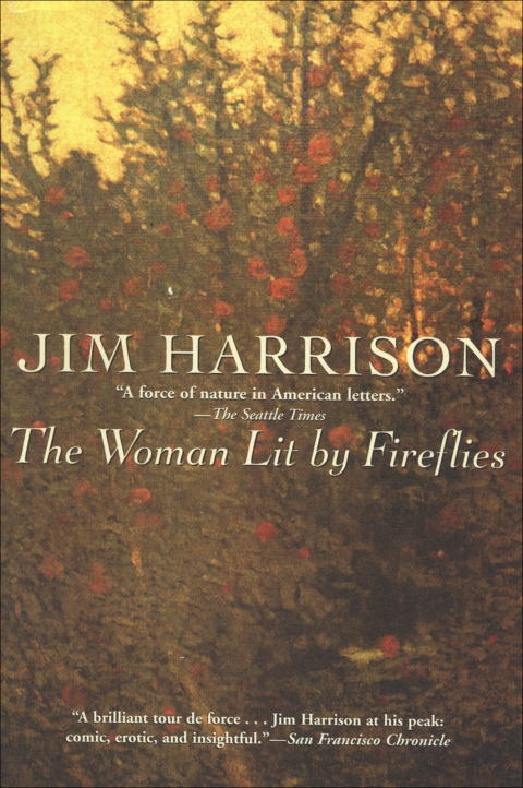 Cover image for book The Woman Lit by Fireflies