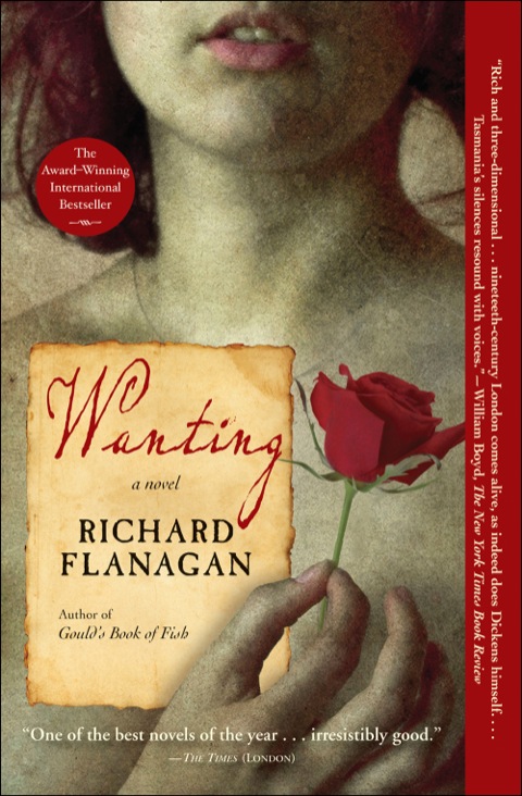 Cover image for book Wanting