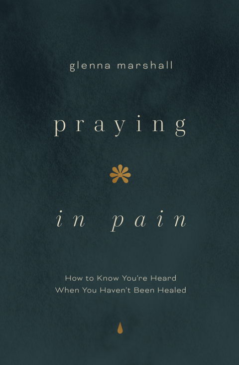 Cover image for book Praying in Pain