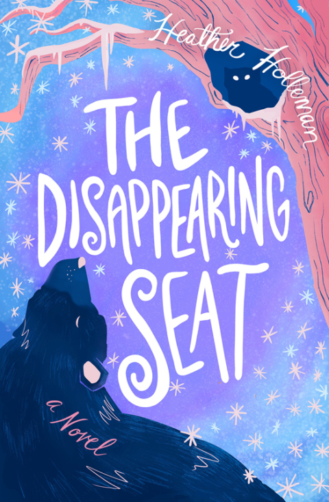 Cover image for book The Disappearing Seat