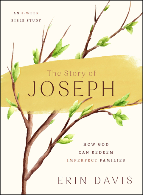 Cover image for book The Story of Joseph