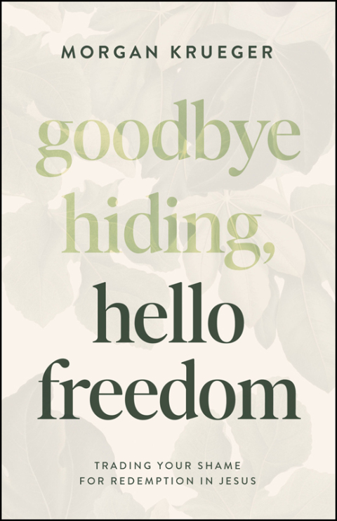 Cover image for book Goodbye Hiding, Hello Freedom
