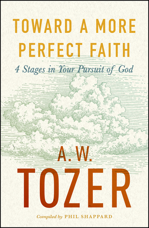 Cover image for book Toward a More Perfect Faith