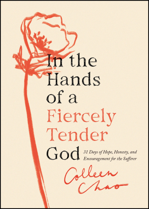 Cover image for book In the Hands of a Fiercely Tender God