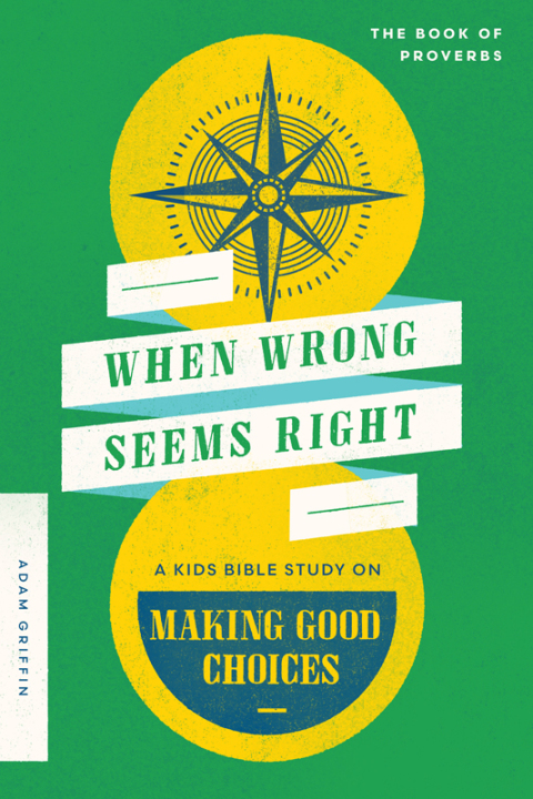Cover image for book When Wrong Seems Right