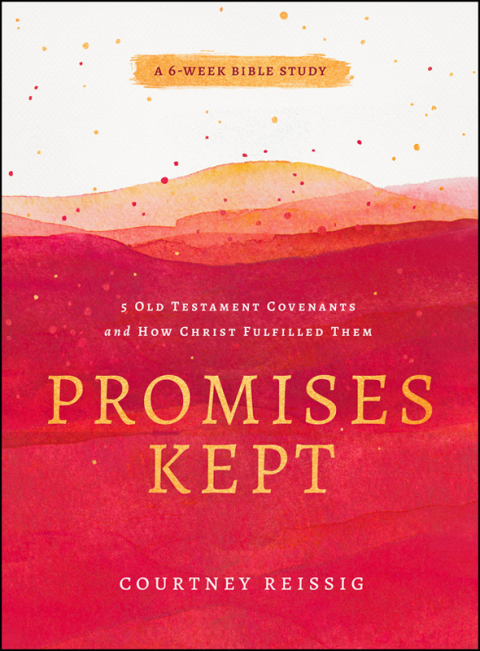 Cover image for book Promises Kept
