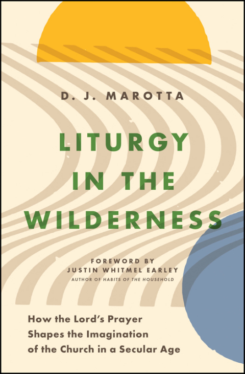 Cover image for book Liturgy in the Wilderness