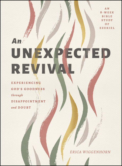 Cover image for book An Unexpected Revival