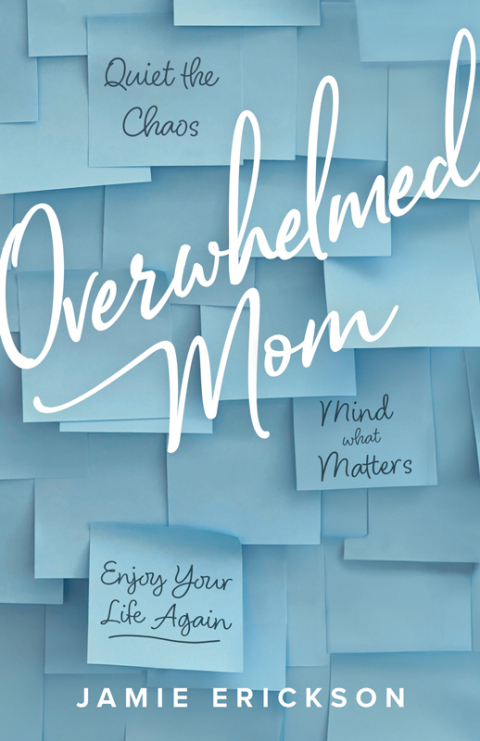Cover image for book Overwhelmed Mom
