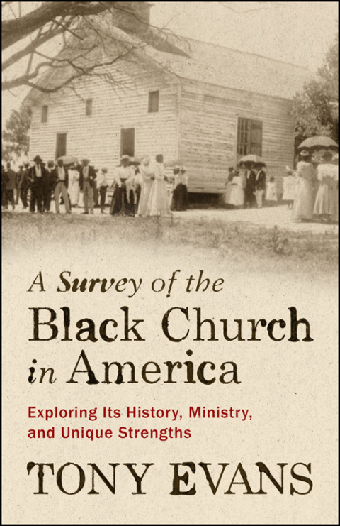 Cover image for book A Survey of the Black Church in America