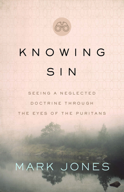 Cover image for book Knowing Sin