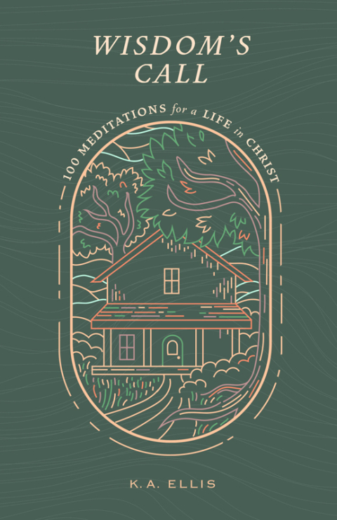 Cover image for book Wisdom's Call