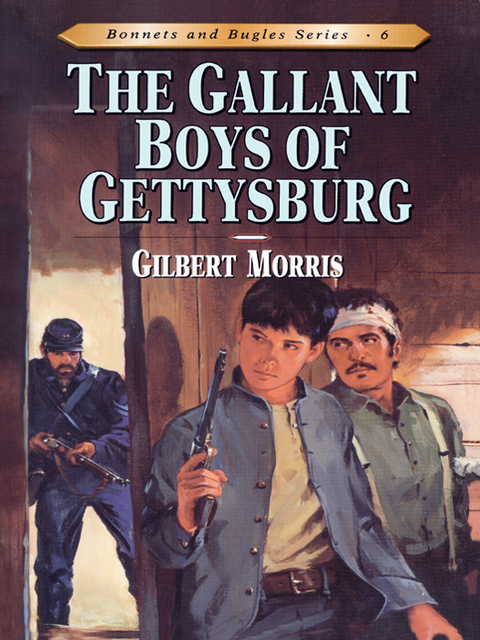 Cover image for book The Gallant Boys of Gettysburg