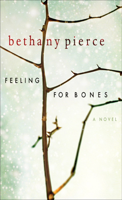 Cover image for book Feeling For Bones