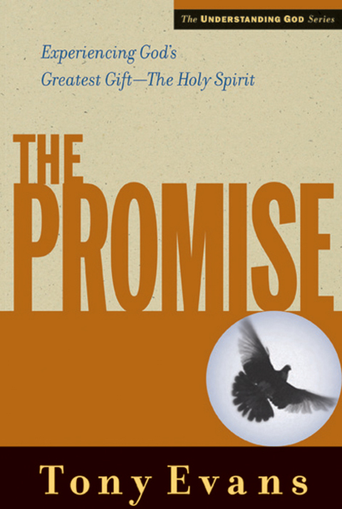 Cover image for book The Promise