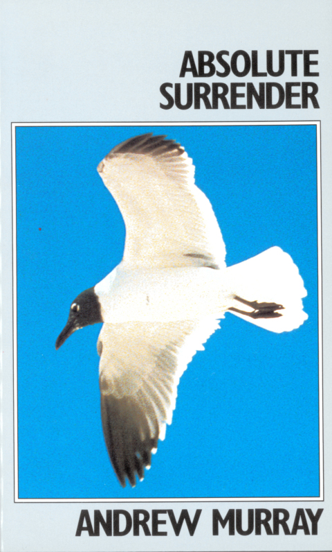 Cover image for book Absolute Surrender