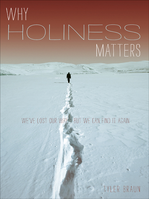 Cover image for book Why Holiness Matters: We've Lost Our Way--But We Can Find it Again
