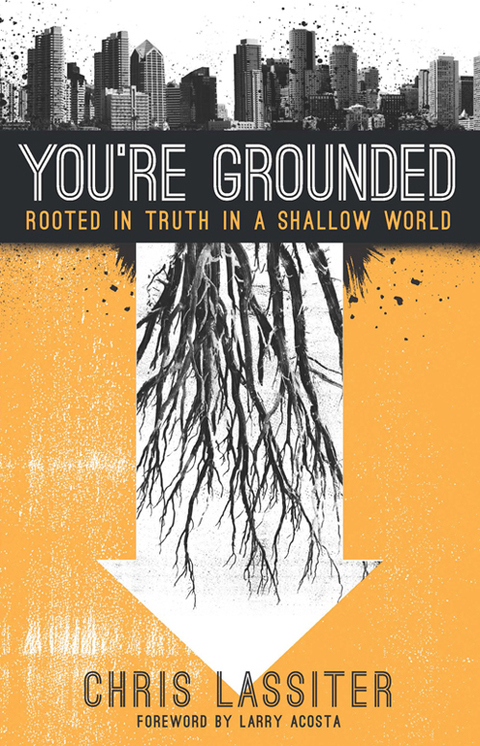 Cover image for book You're Grounded: Rooted in Truth in a Shallow World