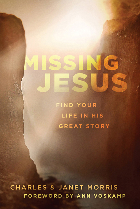 Cover image for book Missing Jesus: Find Your Life in His Great Story