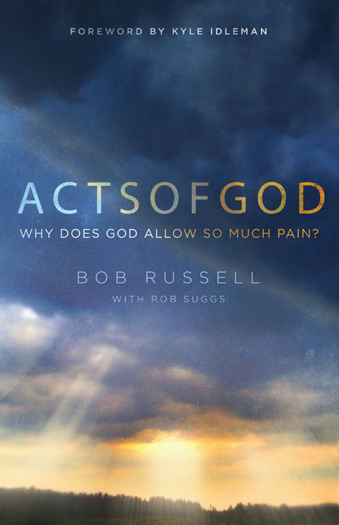 Cover image for book Acts of God: Why Does God Allow So Much Pain?