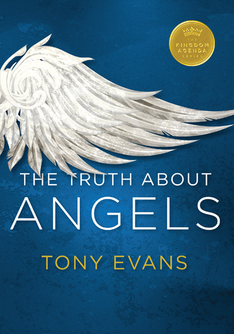 Cover image for book The Truth About Angels