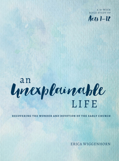 Cover image for book An Unexplainable Life