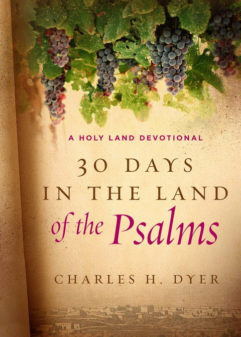Cover image for book 30 Days in the Land of the Psalms: A Holy Land Devotional