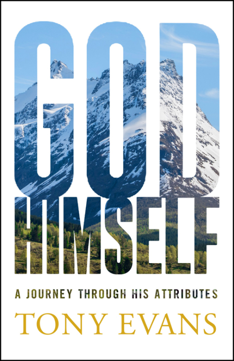 Cover image for book God, Himself