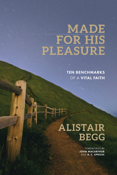 Cover image for book Made for His Pleasure