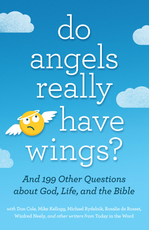 Cover image for book Do Angels Really Have Wings?