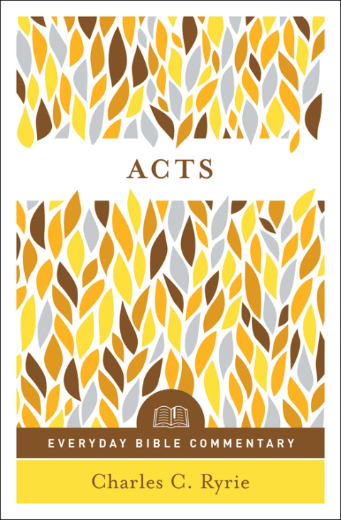 Cover image for book Acts (Everyday Bible Commentary series)