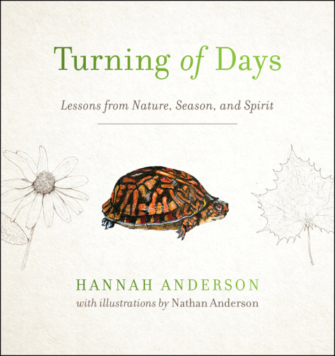 Cover image for book Turning of Days