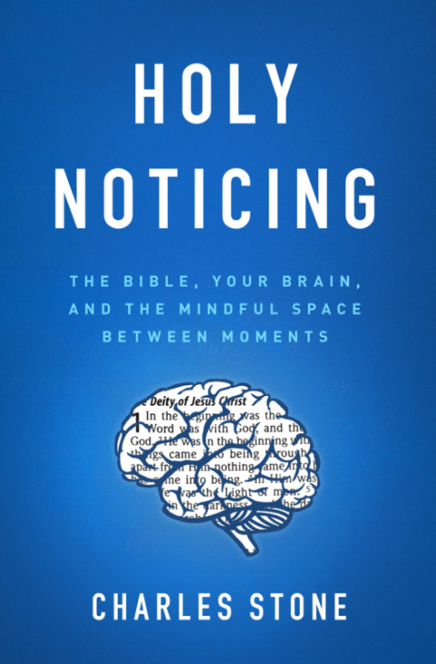 Cover image for book Holy Noticing