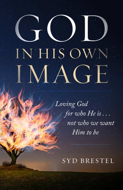 Cover image for book God in His Own Image