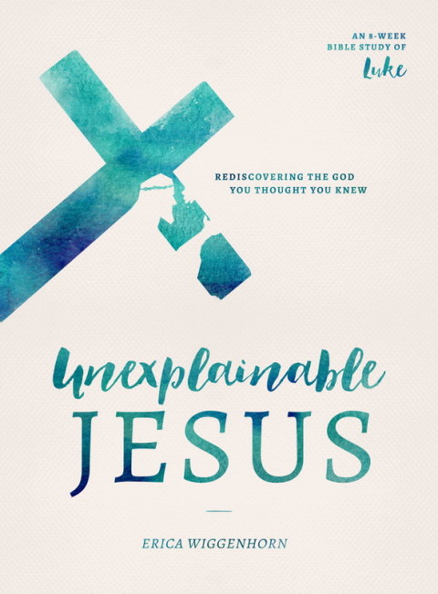 Cover image for book Unexplainable Jesus