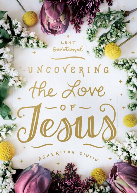 Cover image for book Uncovering the Love of Jesus