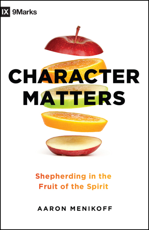 Cover image for book Character Matters