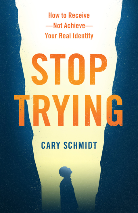 Cover image for book Stop Trying