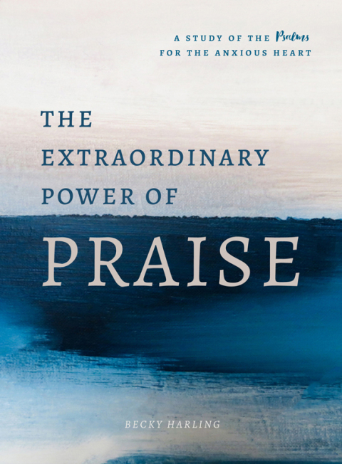 Cover image for book The Extraordinary Power of Praise