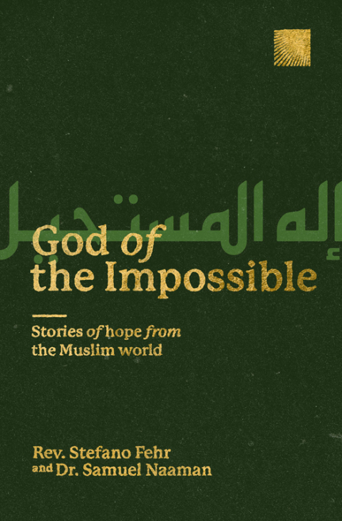 Cover image for book God of the Impossible
