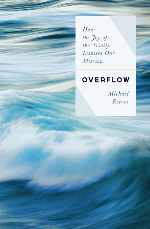 Cover image for book Overflow