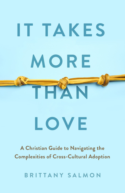 Cover image for book It Takes More than Love