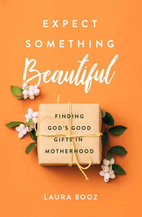 Cover image for book Expect Something Beautiful