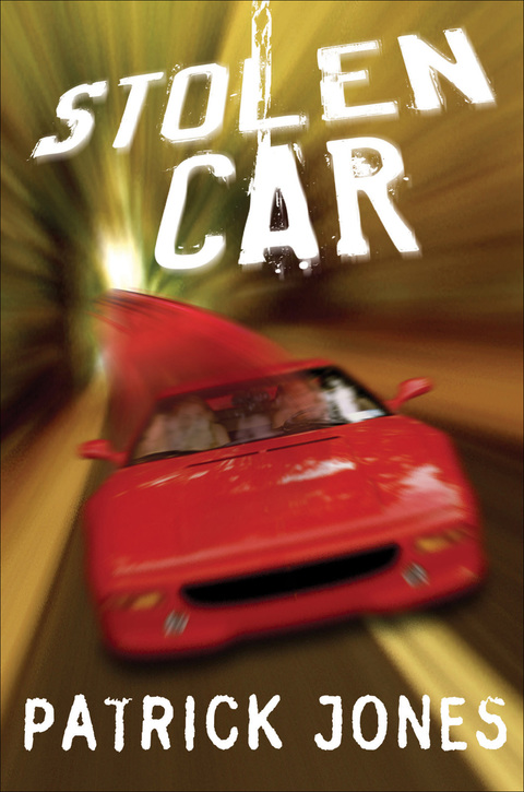 Cover image for book Stolen Car