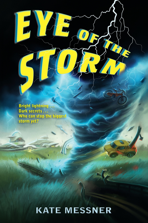 Cover image for book Eye of the Storm