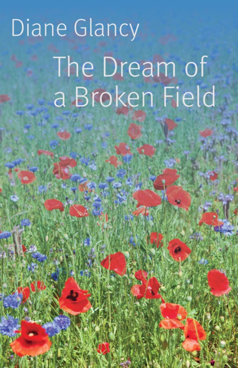 Cover image for book The Dream of a Broken Field