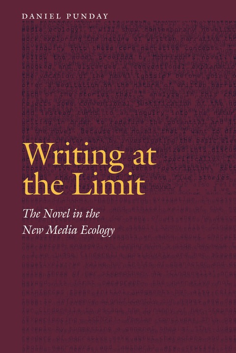 Cover image for book Writing at the Limit