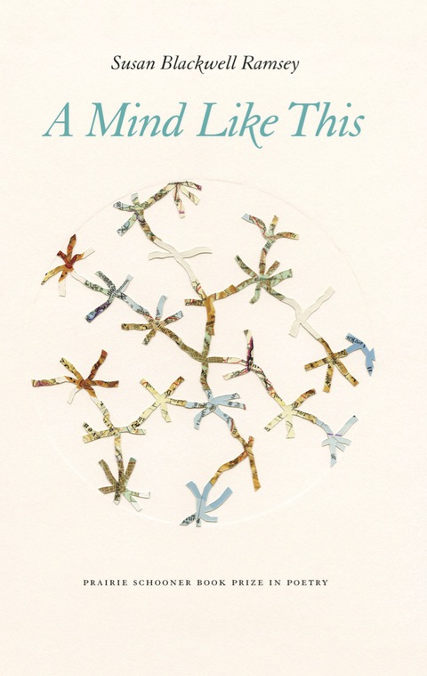 Cover image for book A Mind Like This